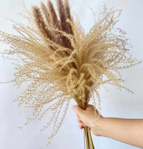 15Pcs Dried Small Pampas Grass Flowers Pantas Artificiale S P