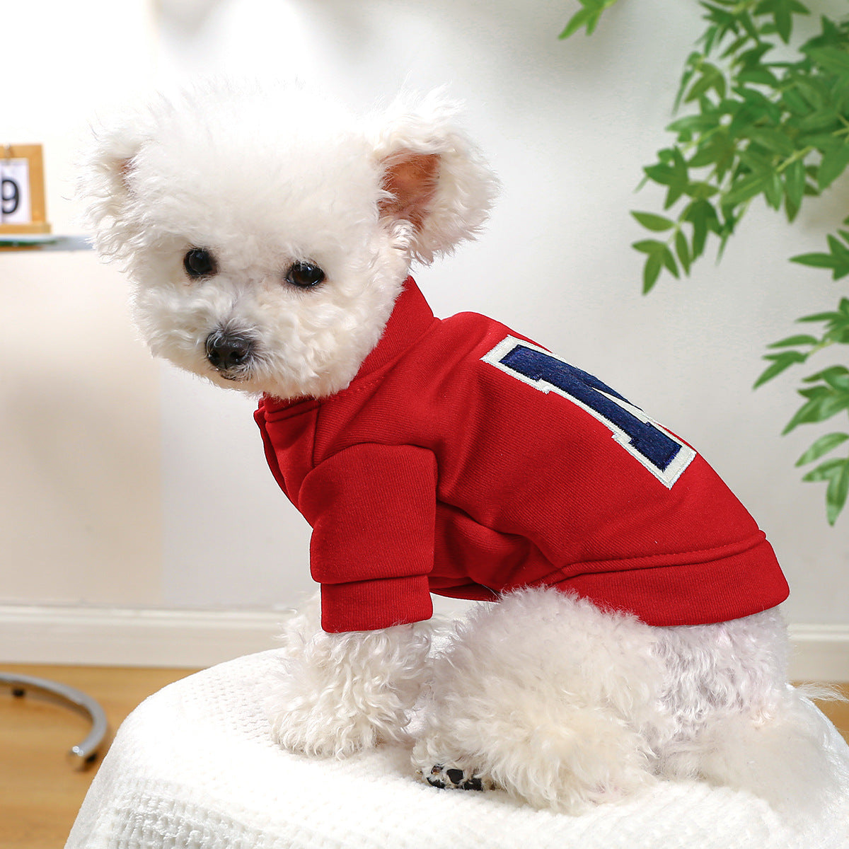 Factory Direct Supply Pet Clothes Teddy Bichon Dog Hoodie Autumn And Winter