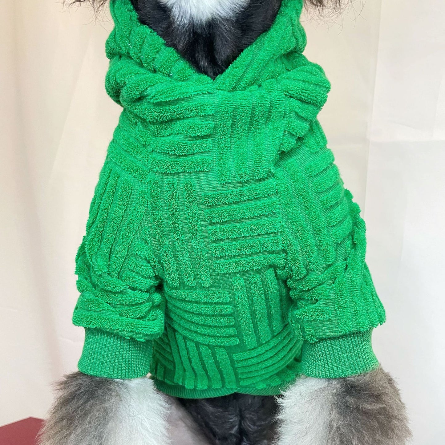 Pet Clothes Green Terry Sweater Hoodie Fashion