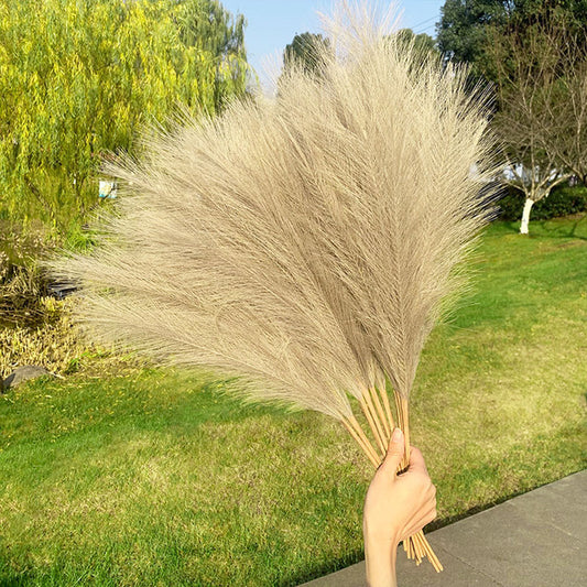 Artificial Pampas Grass Simulation Flower Plant Home Decoration