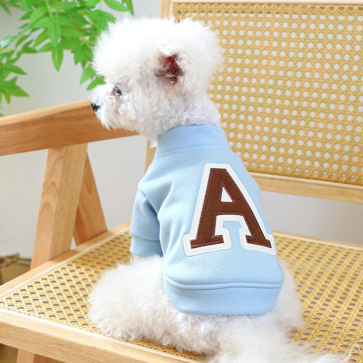 Factory Direct Supply Pet Clothes Teddy Bichon Dog Hoodie Autumn And Winter