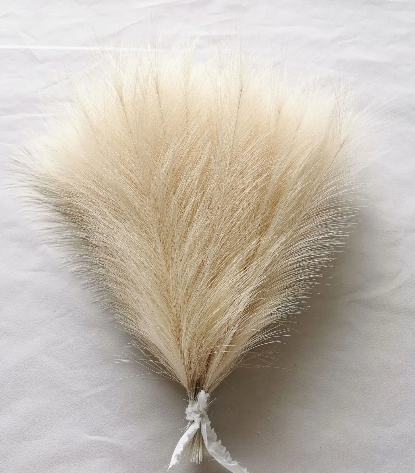 Faux Pampas Grass Beige Decor 10pcs,Small Artificial Pompas for Vase,  Fluffy Pampas Floral for Home Wedding Boho Decor