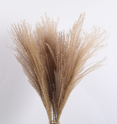 15Pcs Dried Small Pampas Grass Flowers Pantas Artificiale S P