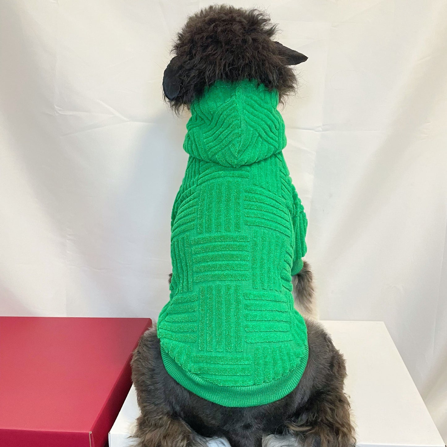 Pet Clothes Green Terry Sweater Hoodie Fashion