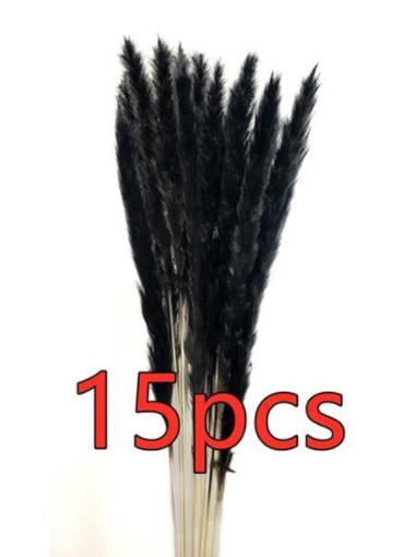 15Pcs Dried Small Pampas Grass Flowers Pantas Artificiale S P